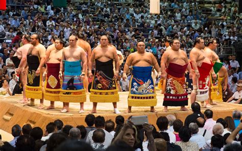 sumo wrestling.